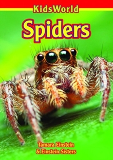 Spiders, Paperback / softback Book Spiders, Paperback / softback Book