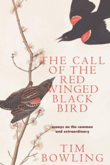 The Call of the Red-Winged Blackbird : Essays on the Common and Extraordinary