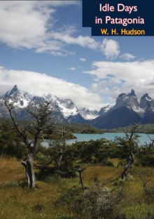 Idle Days in Patagonia