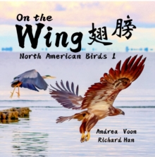 On The Wing - North American Birds 1 : Bilingual Picture Book in English, Traditional Chinese and Pinyin