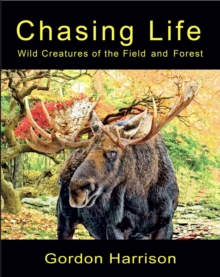 Chasing Life : Wild Creatures of the Field and Forest