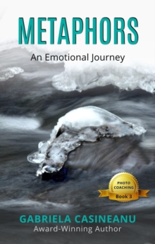 Metaphors : An Emotional Journey