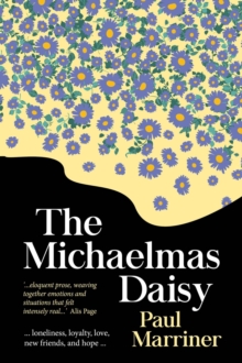 Michaelmas Daisy