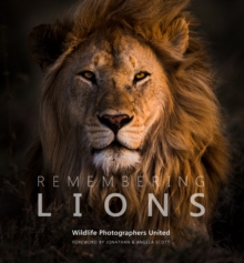 Remembering Lions, Hardback Book Remembering Lions, Hardback Book