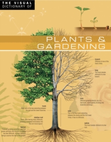 The Visual Dictionary of Plants & Gardening : Plants & Gardening