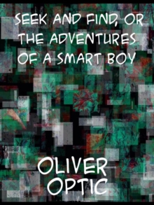 Seek and Find or The Adventures of a Smart Boy