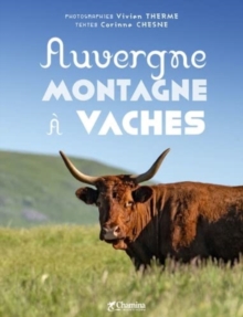 Auvergne montagne a vaches