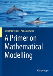 A Primer on Mathematical Modelling