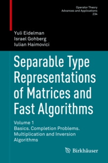 Separable Type Representations of Matrices and Fast Algorithms : Volume 1 Basics. Completion Problems. Multiplication and Inversion Algorithms