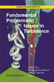 Fundamental Problematic Issues in Turbulence