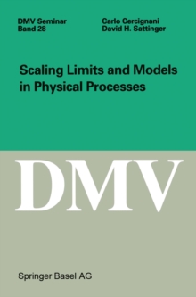 Scaling Limits and Models in Physical Processes