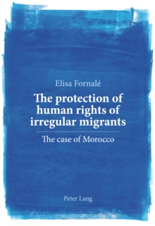 The protection of human rights of irregular migrants : The case of Morocco