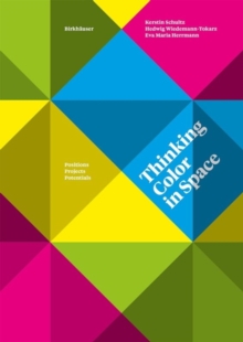 Thinking Color in Space : Positions, Projects, Potentials