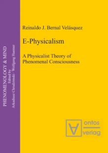 E-Physicalism : A Physicalist Theory of Phenomenal Consciousness