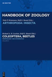 Morphology and Systematics : Phytophaga