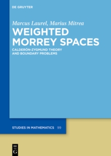 Weighted Morrey Spaces : Calderon-Zygmund Theory and Boundary Problems