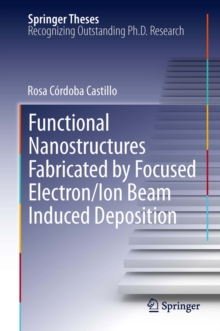 Functional Nanostructures Fabricated by Focused Electron/Ion Beam Induced Deposition