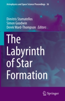 The Labyrinth of Star Formation