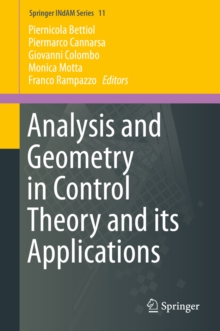 Analysis and Geometry in Control Theory and its Applications