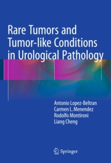 Rare Tumors and Tumor-like Conditions in Urological Pathology