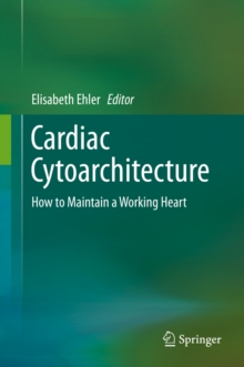 Cardiac Cytoarchitecture : How to Maintain a Working Heart