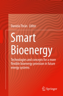 Smart Bioenergy : Technologies and concepts for a more flexible bioenergy provision in future energy systems