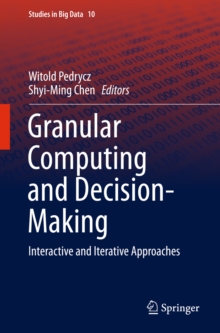 Granular Computing and Decision-Making : Interactive and Iterative Approaches