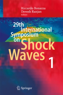 29th International Symposium  on Shock Waves 1 : Volume 1