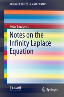 Notes on the Infinity Laplace Equation