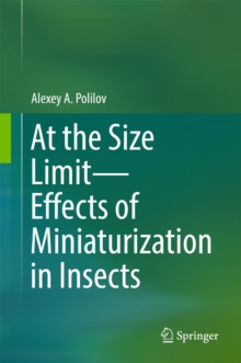 At the Size Limit - Effects of Miniaturization in Insects