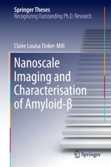 Nanoscale Imaging and Characterisation of Amyloid-