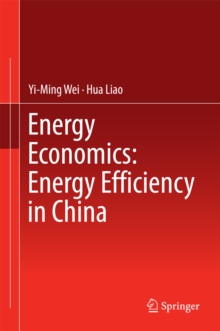 Energy Economics: Energy Efficiency in China