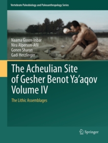 The Acheulian Site of Gesher Benot Ya'aqov Volume IV : The Lithic Assemblages