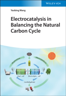 Electrocatalysis in Balancing the Natural Carbon Cycle