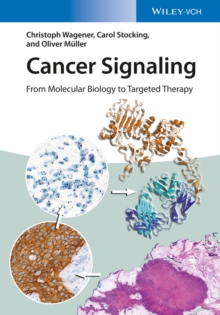 Cancer Signaling : From Molecular Biology to Targeted Therapy