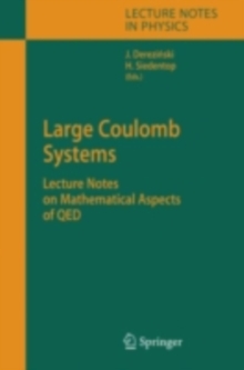 Large Coulomb Systems : Lecture Notes on Mathematical Aspects of QED