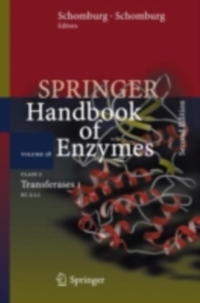 Class 2 Transferases I : EC 2.1.1