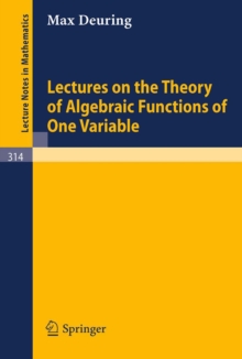 Lectures on the Theory of Algebraic Functions of One Variable