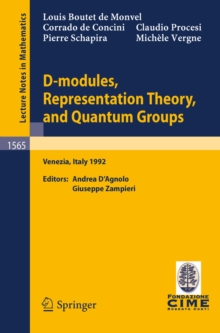 D-modules, Representation Theory, and Quantum Groups : Lectures given at the 2nd Session of the Centro Internazionale Matematico Estivo (C.I.M.E.) held in Venezia, Italy, June 12-20, 1992