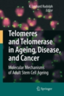 Telomeres and Telomerase in Aging, Disease, and Cancer : Molecular Mechanisms of Adult Stem Cell Ageing