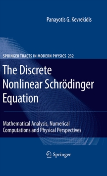 The Discrete Nonlinear Schrodinger Equation : Mathematical Analysis, Numerical Computations and Physical Perspectives