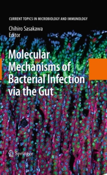 Molecular Mechanisms of Bacterial Infection via the Gut