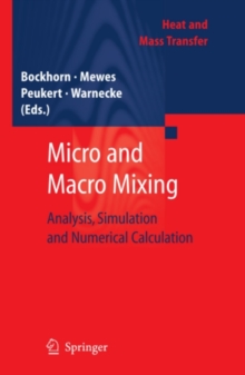 Micro and Macro Mixing : Analysis, Simulation and Numerical Calculation