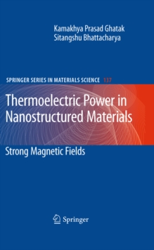 Thermoelectric Power in Nanostructured Materials : Strong Magnetic Fields