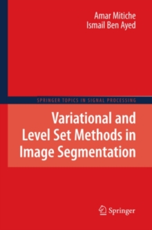 Variational and Level Set Methods in Image Segmentation