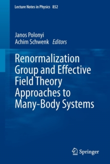 Renormalization Group and Effective Field Theory Approaches to Many-Body Systems, Paperback / softback Book Renormalization Group and Effective Field Theory Approaches to Many-Body Systems, Paperback / softback Book