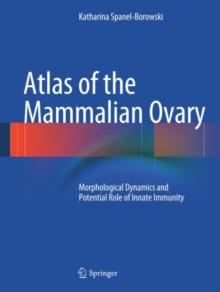 Atlas of the Mammalian Ovary : Morphological Dynamics and Potential Role of Innate Immunity