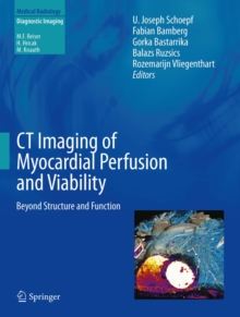 CT Imaging of Myocardial Perfusion and Viability : Beyond Structure and Function