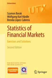 Statistics of Financial Markets : Exercises and Solutions