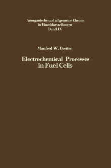 Electrochemical Processes in Fuel Cells